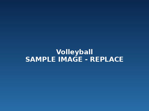 Volleyball (sample photo)
